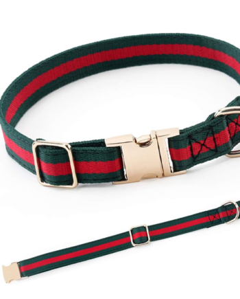 Premium Dog Collar with Metal Buckle