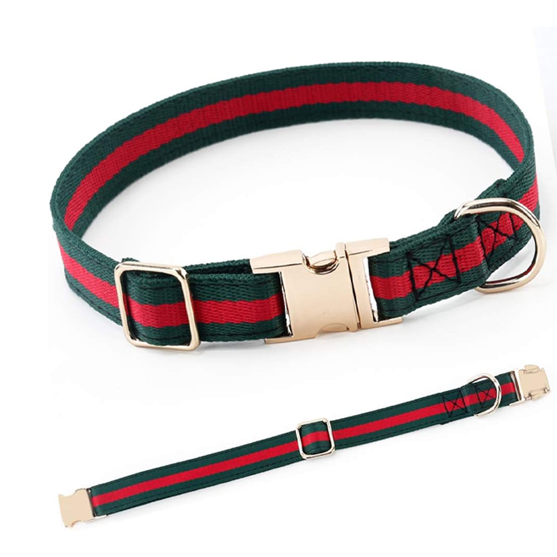 Premium Dog Collar with Metal Buckle