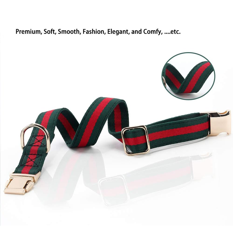 Premium Dog Collar with Metal Buckle