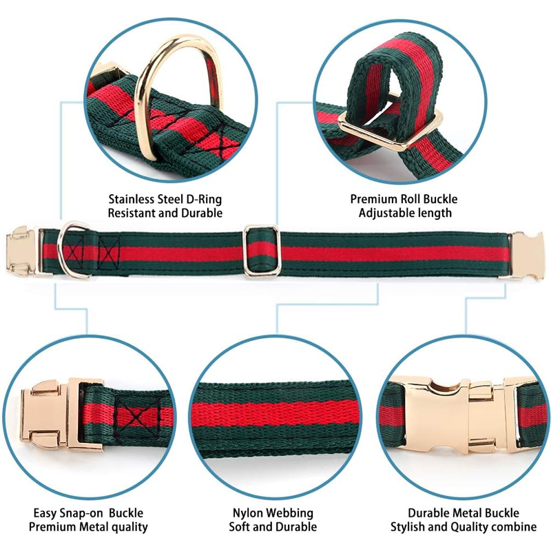 Premium Dog Collar with Metal Buckle