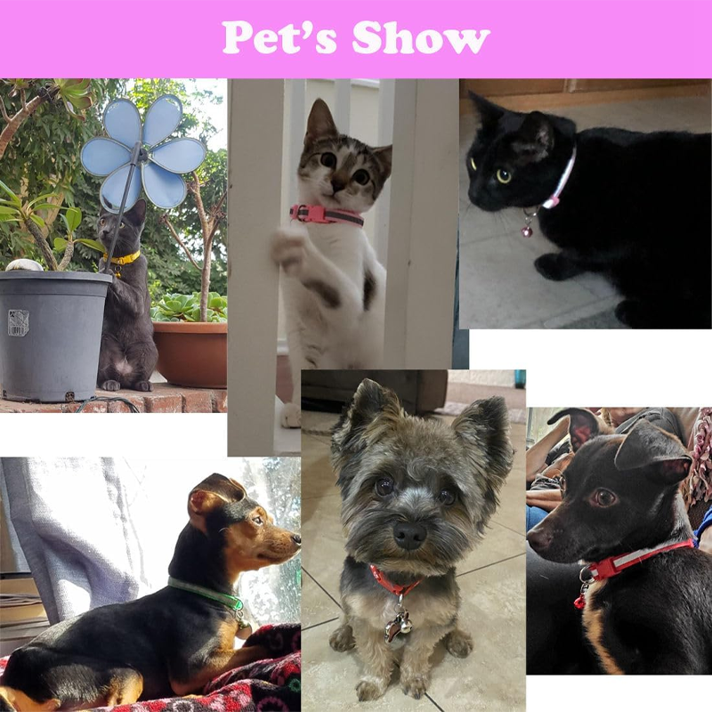 2-Pack Reflective Puppy and Kitten Collars Blue