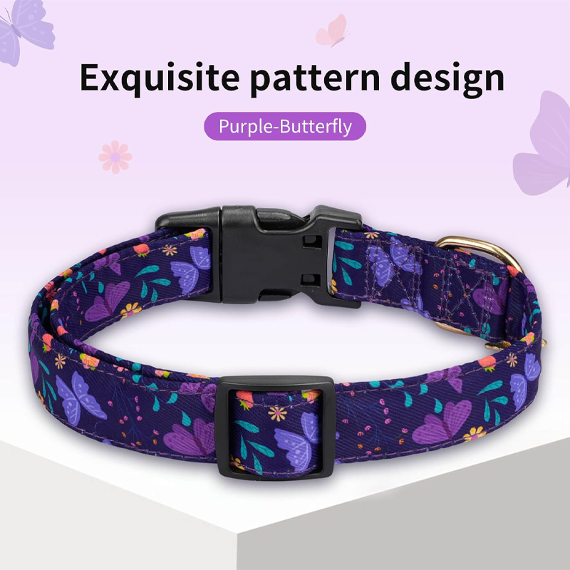 Purple Butterfly Dog Collar with Flower Design