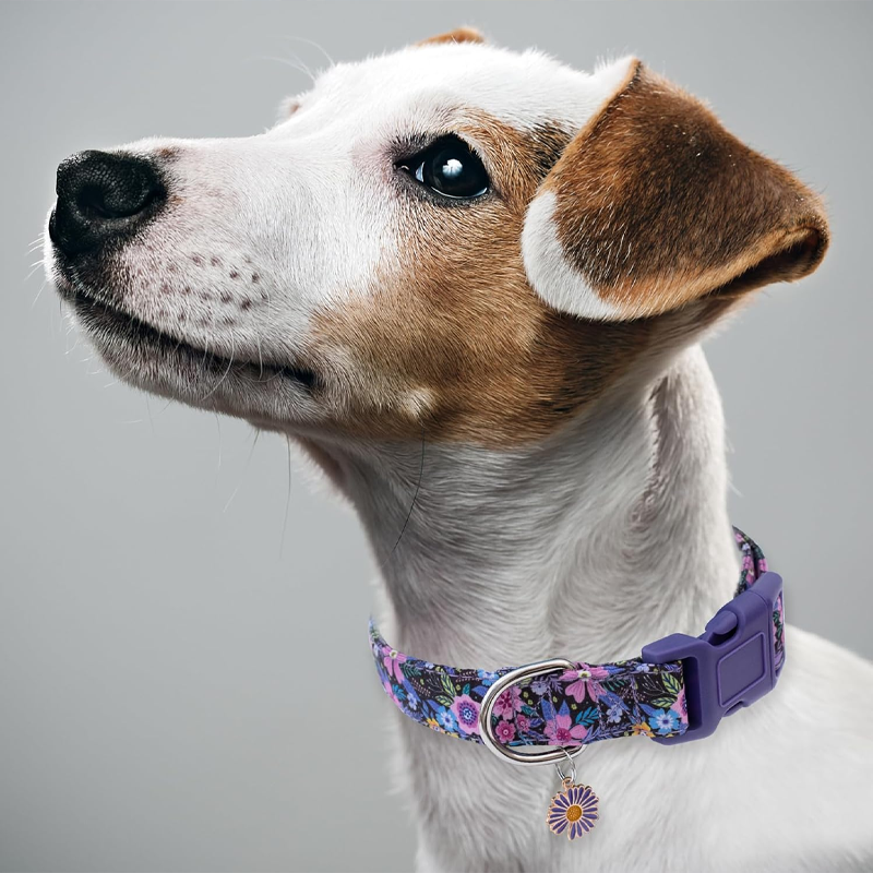 Cotton Floral Dog Collar Purple