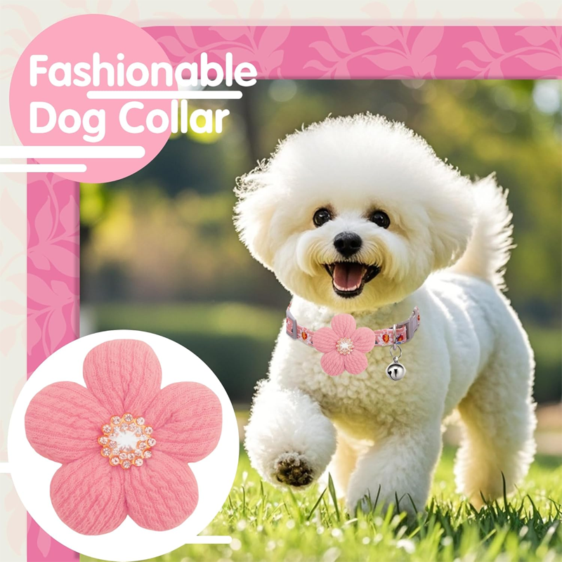 Small Dog Collar with Flower and Bell